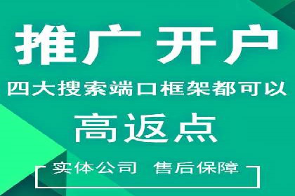 SEM代运营机构案例分析：优化策略与执行